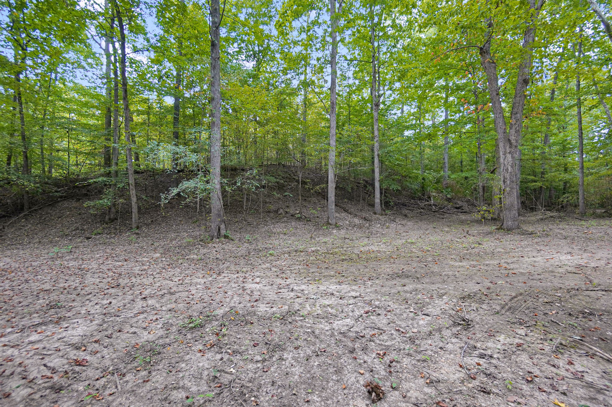 12 Ribbon Branch Road Dover, TN 37058 - Photo 7 of 14 Gallery Image 7
