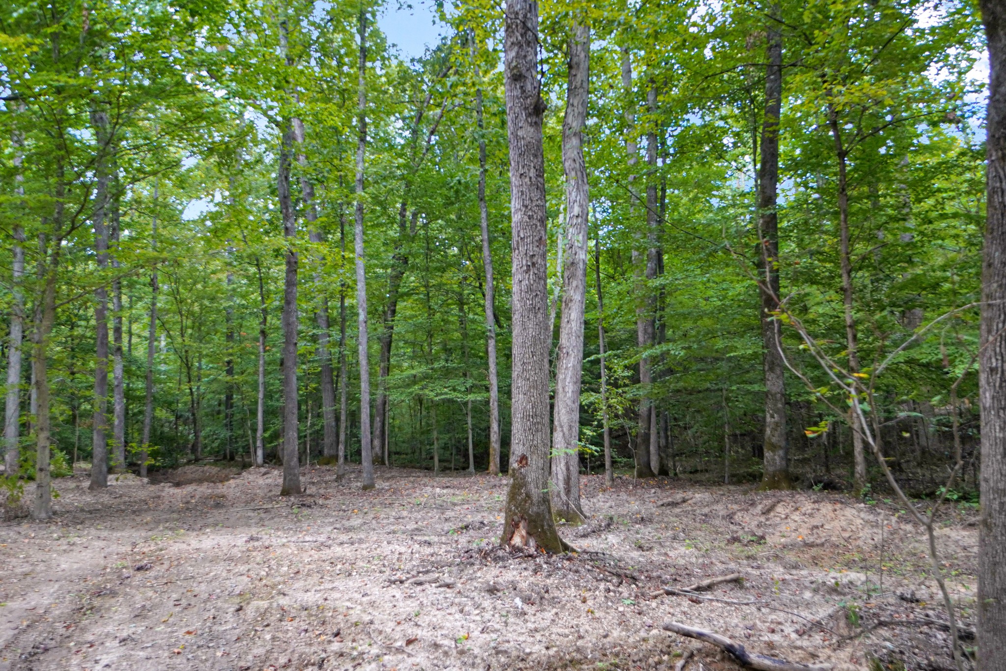 12 Ribbon Branch Road Dover, TN 37058 - Photo 9 of 14 Gallery Image 9