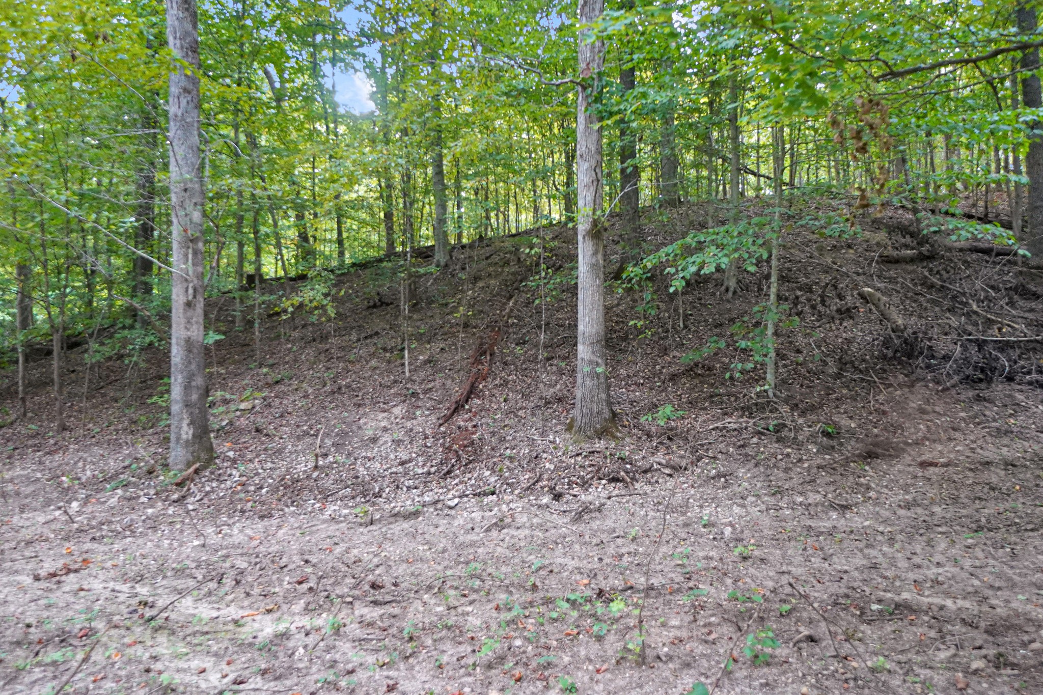 12 Ribbon Branch Road Dover, TN 37058 - Photo 10 of 14 Gallery Image 10