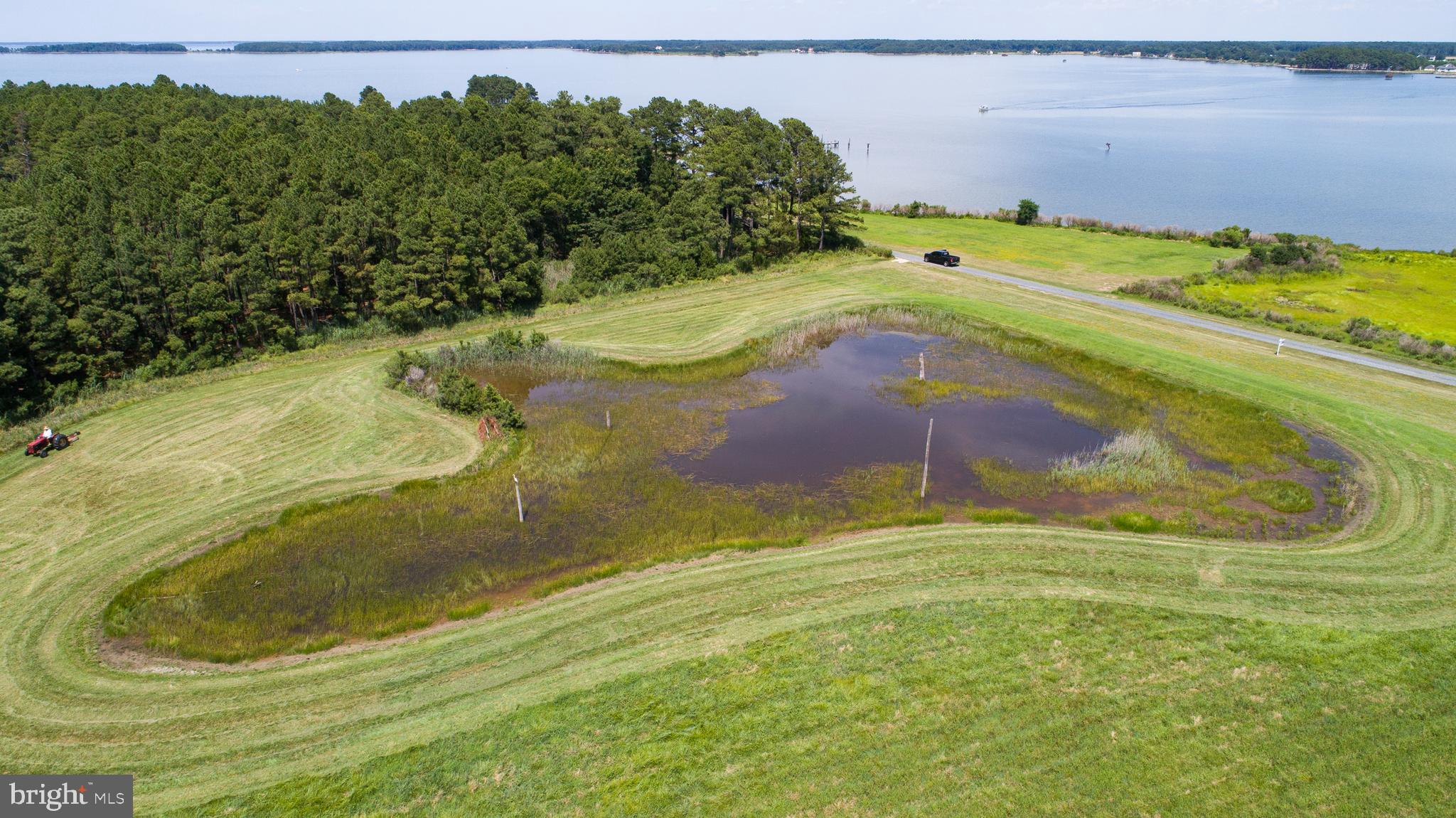 5631 Condon Road Cambridge, MD 21613 - Photo 6 of 9 Gallery Image 6