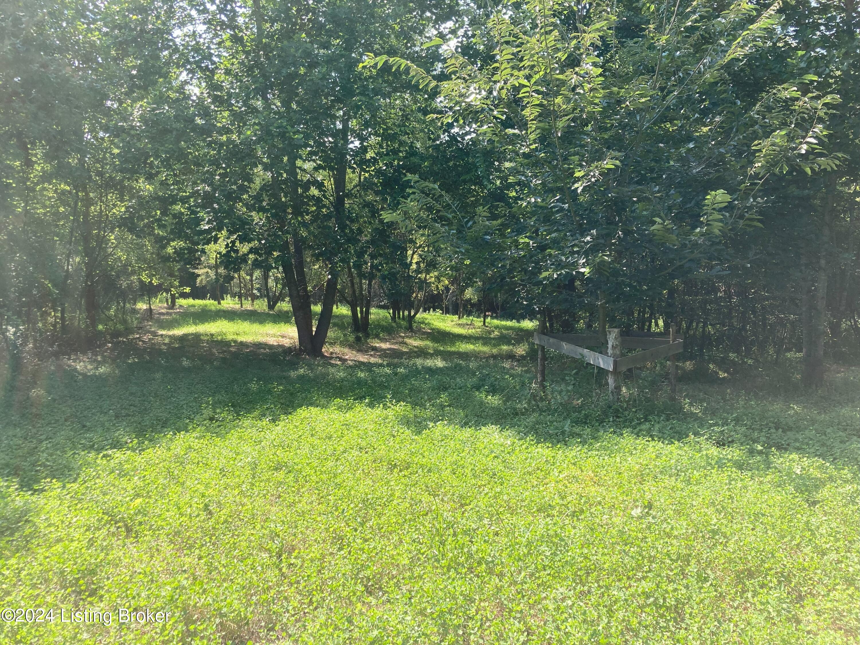 4372 Rube Smith Road Canmer, KY 42722 - Photo 72 of 82 Land 6