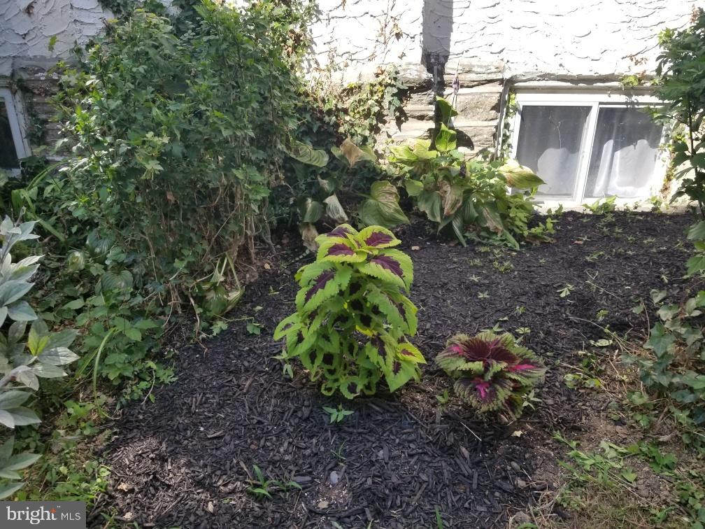 933 East Rittenhouse Street Philadelphia, PA 19138 - Photo 32 of 33 Side Yard Plantings