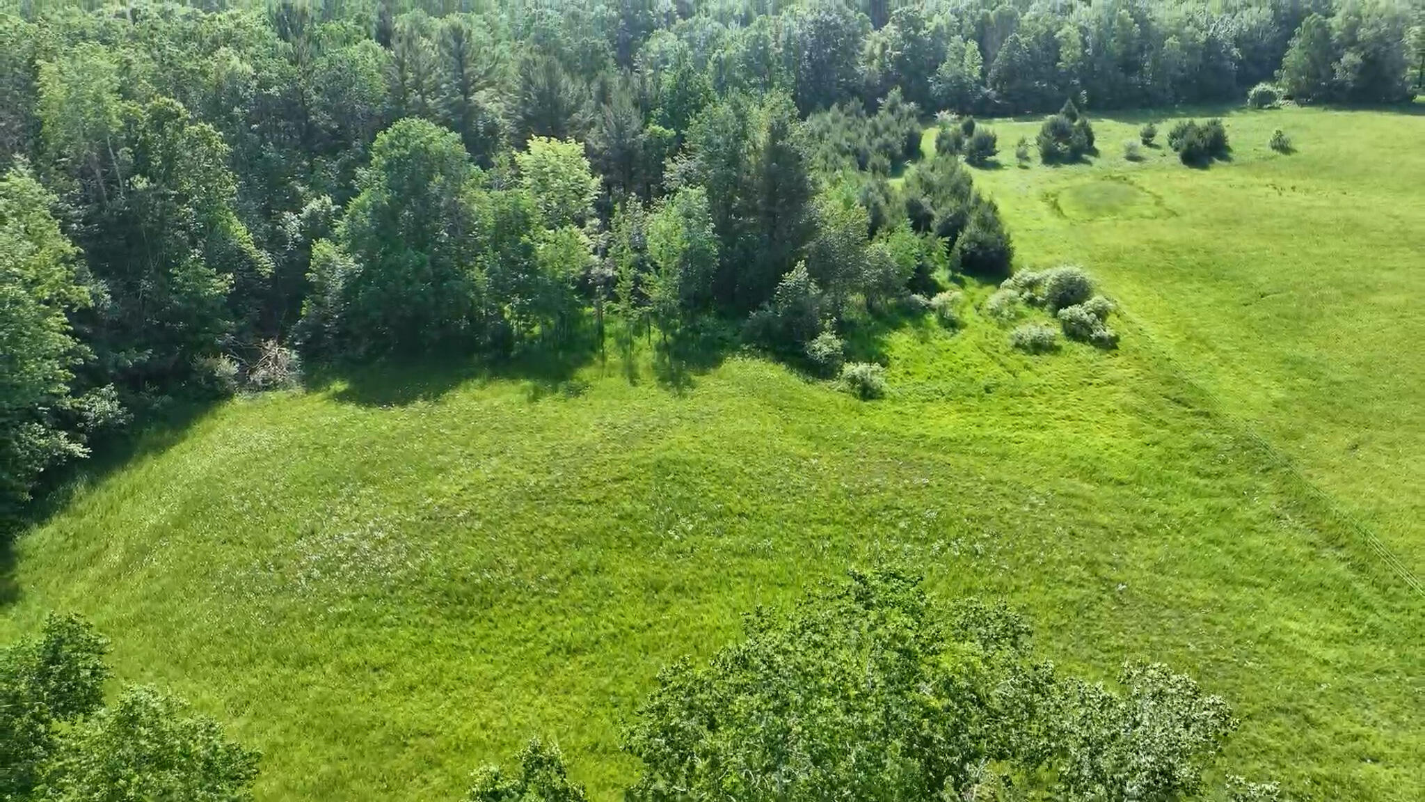 11371 East 40th Street Reed City, MI 49677 - Photo 18 of 68 dji_fly_20250611_171459_0_1750175662161_