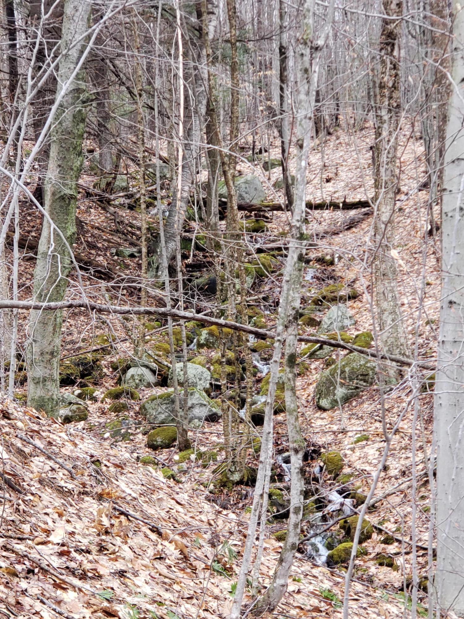 999 Coolidge Road Dixfield, ME 04224 - Photo 26 of 45 20190423_112709