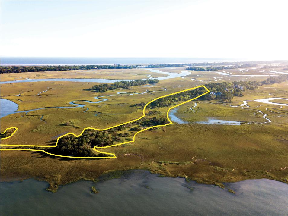 248 Eagle Point Road Kiawah Island, SC 29455 - Photo 12 of 21 Aerial Property Outline