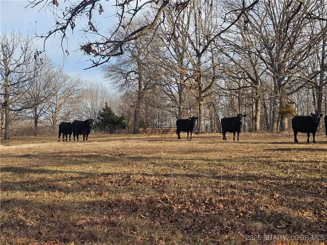 $508,800 | 23749 Golden Beach Road, Barnett, MO 65011