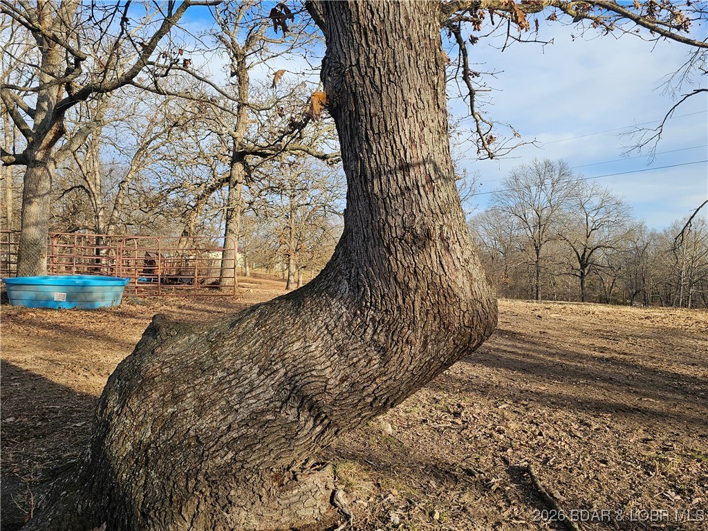 23749 Golden Beach Road Barnett, MO 65011 - Photo 18 of 45