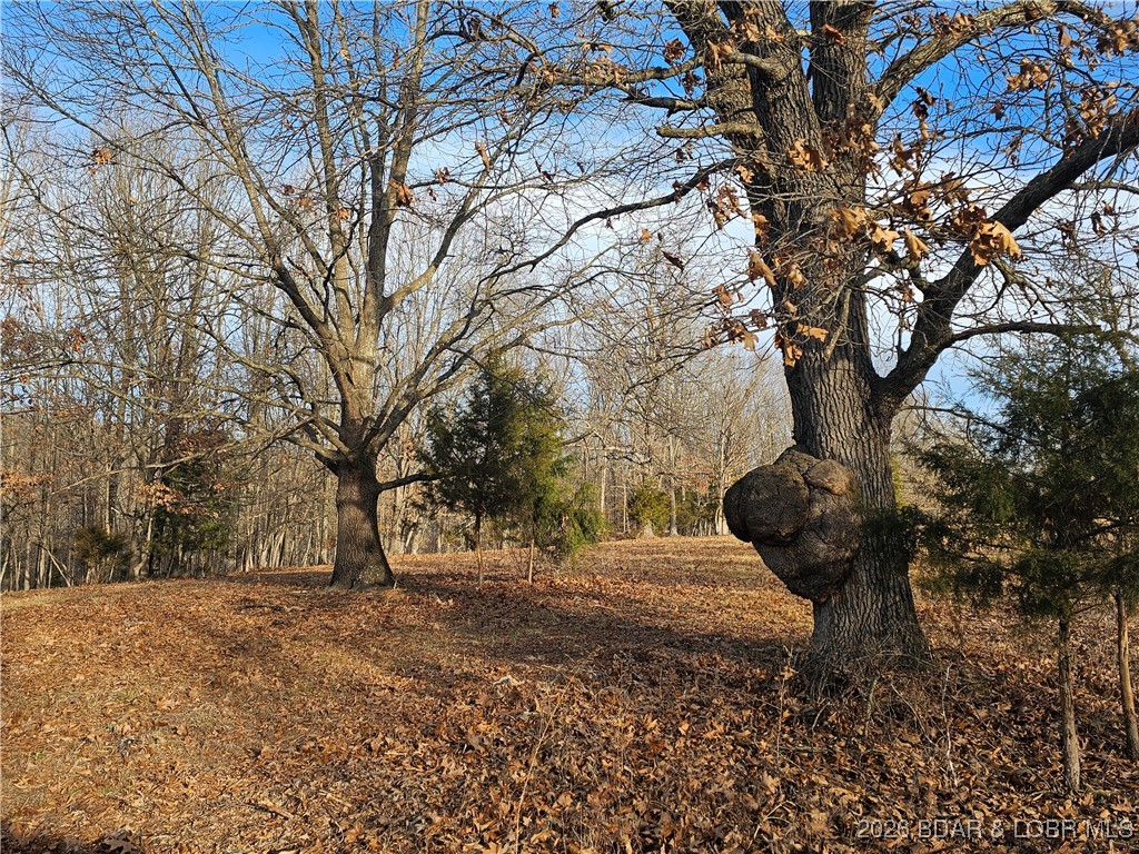 23749 Golden Beach Road Barnett, MO 65011 - Photo 19 of 45