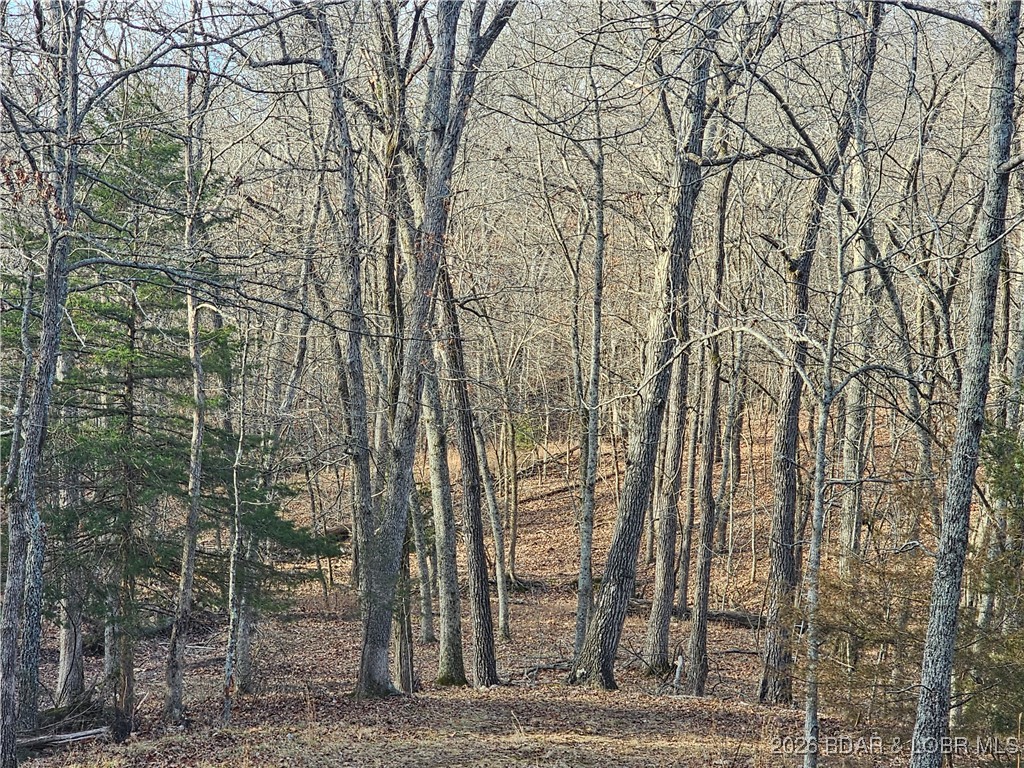 23749 Golden Beach Road Barnett, MO 65011 - Photo 20 of 45