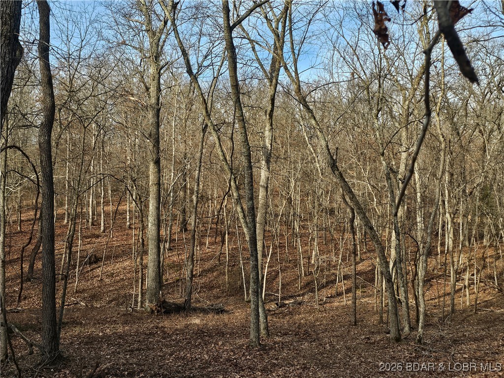 23749 Golden Beach Road Barnett, MO 65011 - Photo 22 of 45