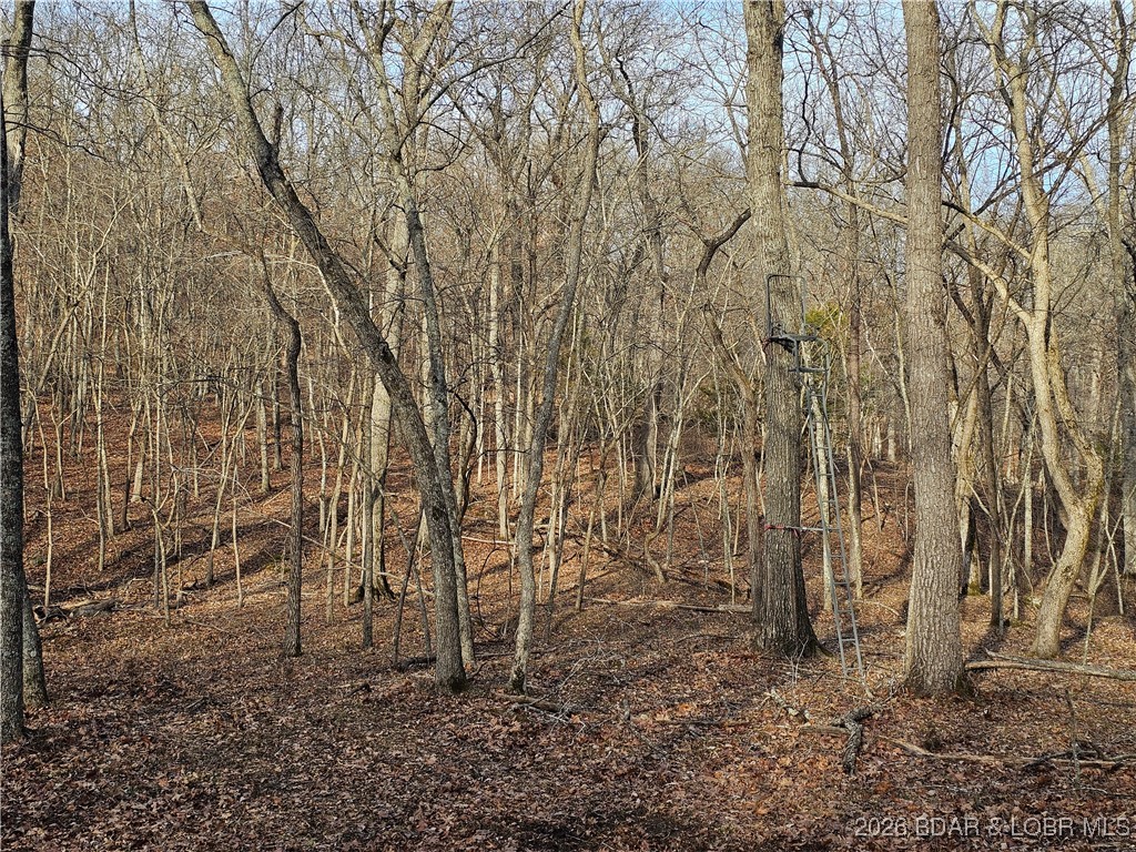 23749 Golden Beach Road Barnett, MO 65011 - Photo 25 of 45