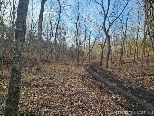 $508,800 | 23749 Golden Beach Road, Barnett, MO 65011