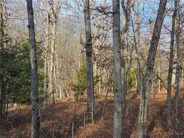 $508,800 | 23749 Golden Beach Road, Barnett, MO 65011