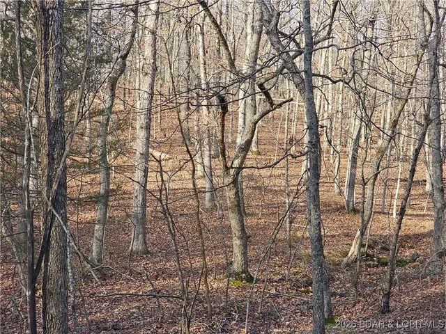 $508,800 | 23749 Golden Beach Road, Barnett, MO 65011