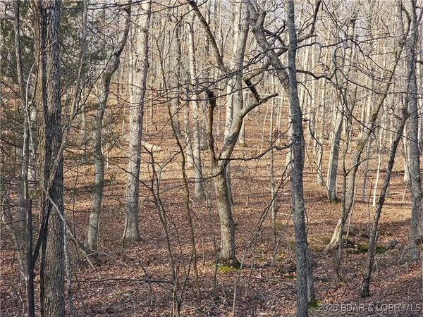 $508,800 | 23749 Golden Beach Road, Barnett, MO 65011