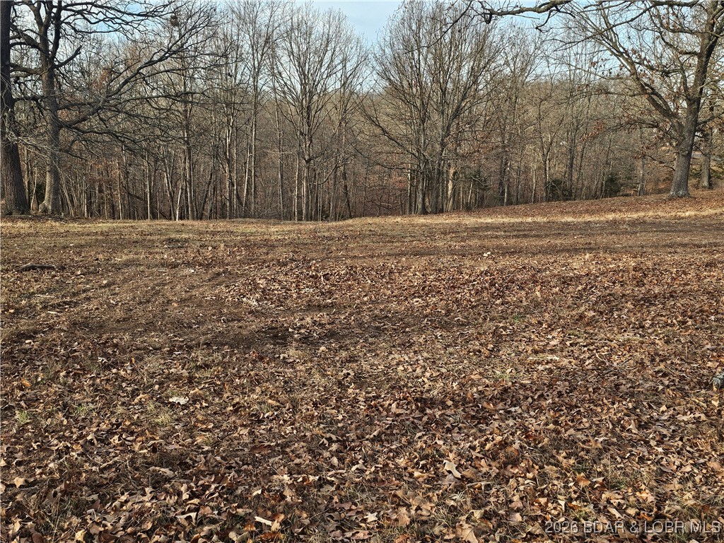 23749 Golden Beach Road Barnett, MO 65011 - Photo 6 of 45