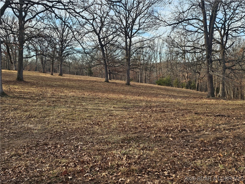 23749 Golden Beach Road Barnett, MO 65011 - Photo 7 of 45