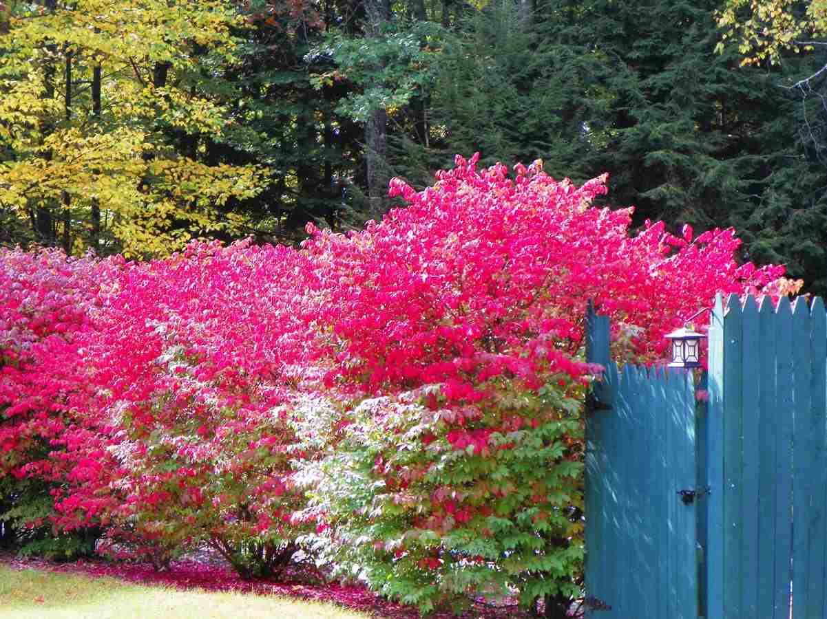 54 Garvins Falls Road Concord, NH 03301 - Photo 13 of 33 Gallery Image 13
