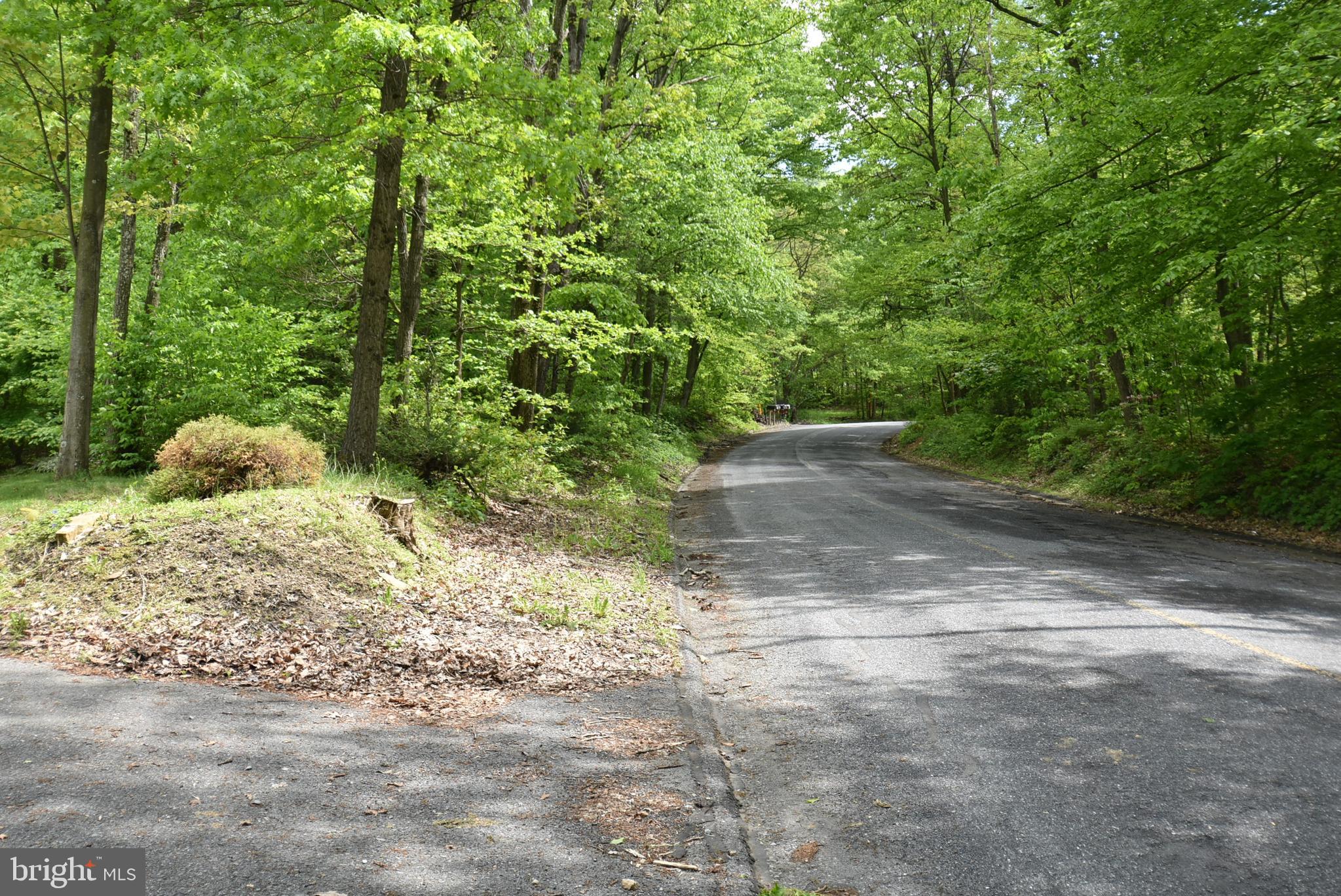 40 Nut Grove Road Pine Grove, PA 17963 - Photo 35 of 37 Street View