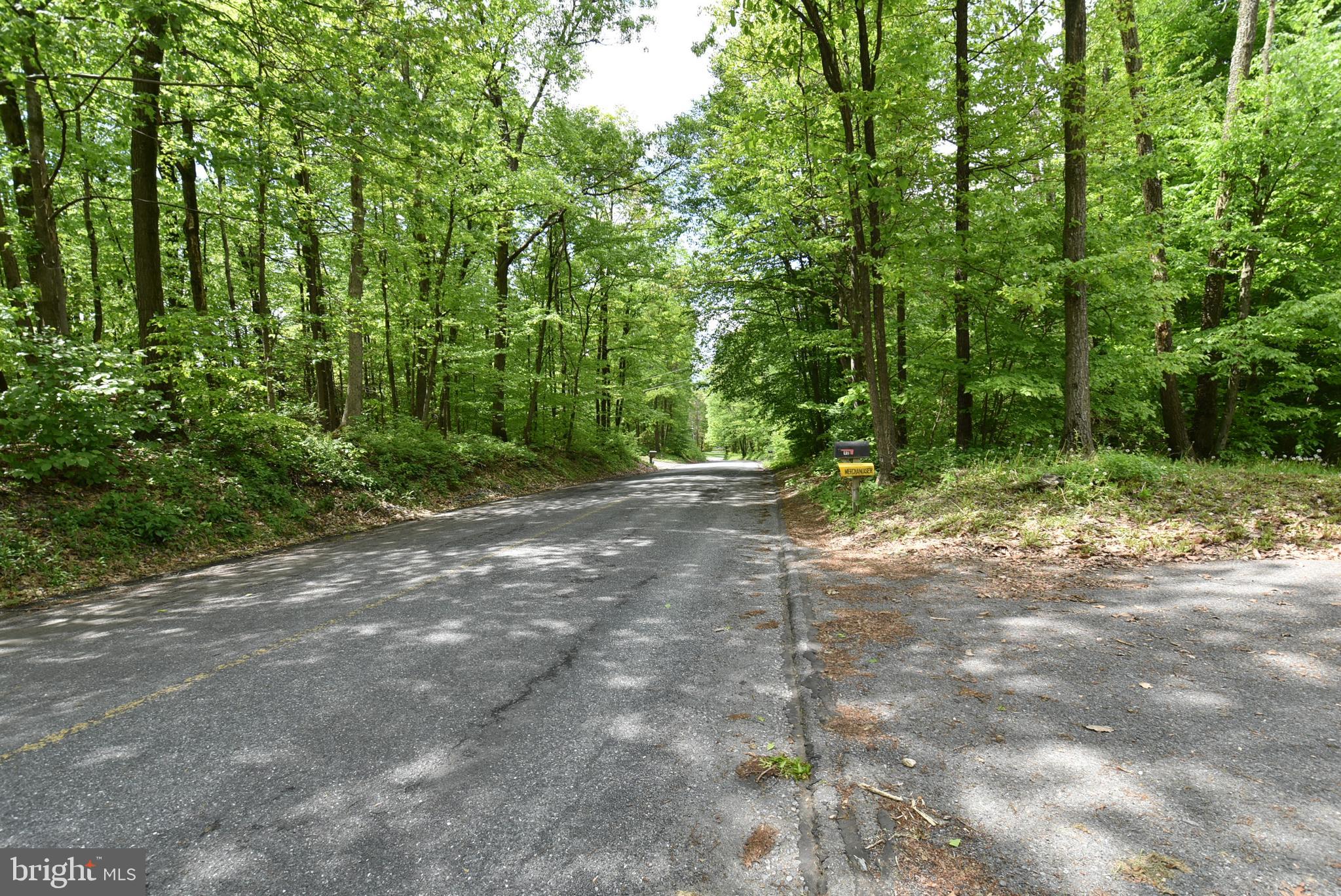40 Nut Grove Road Pine Grove, PA 17963 - Photo 36 of 37 Street View