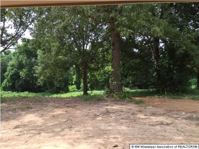 4437 Church Road Nesbit, MS 38651 - Photo 3 of 5 Additional Photo