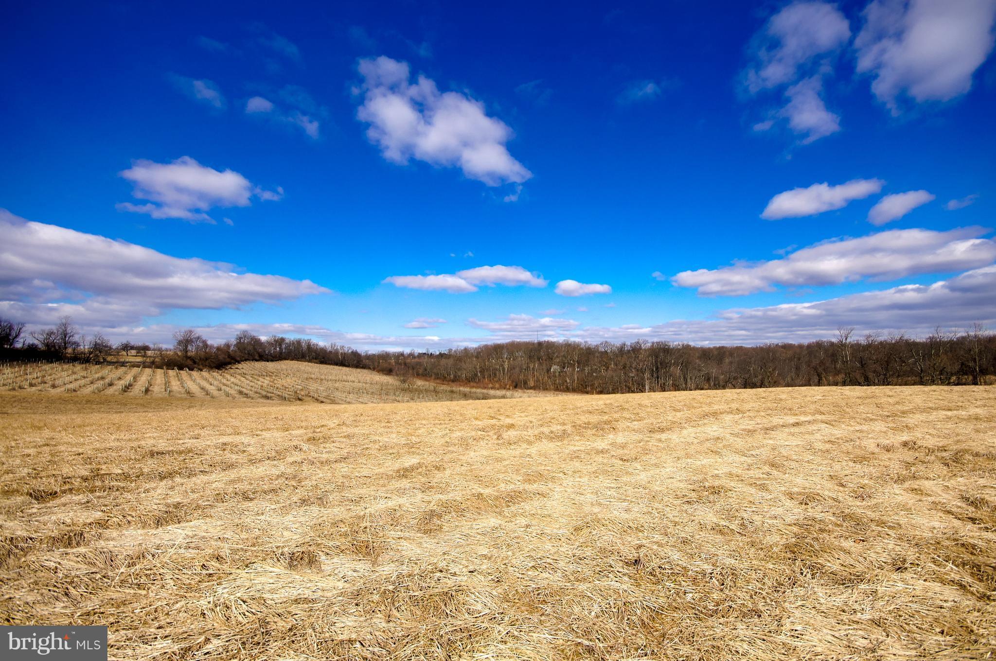 5152 Byerly Road, Unit MARSTON Upperco, MD 21155 - Photo 4 of 30 The Fields at Fox Glen