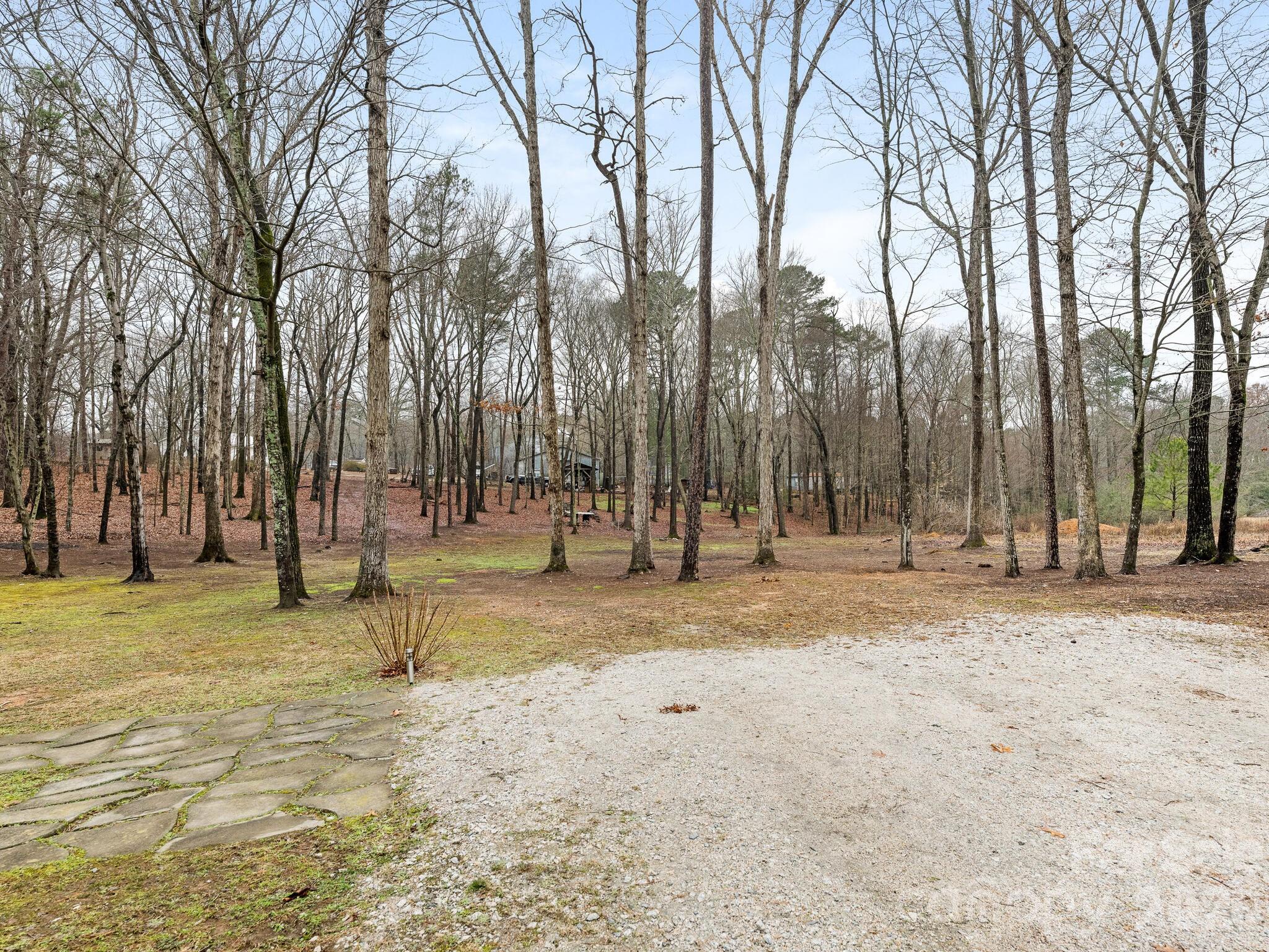 2219 State Rd S-13-106 Pageland, SC 29728 - Photo 21 of 29 a view of yard with trees