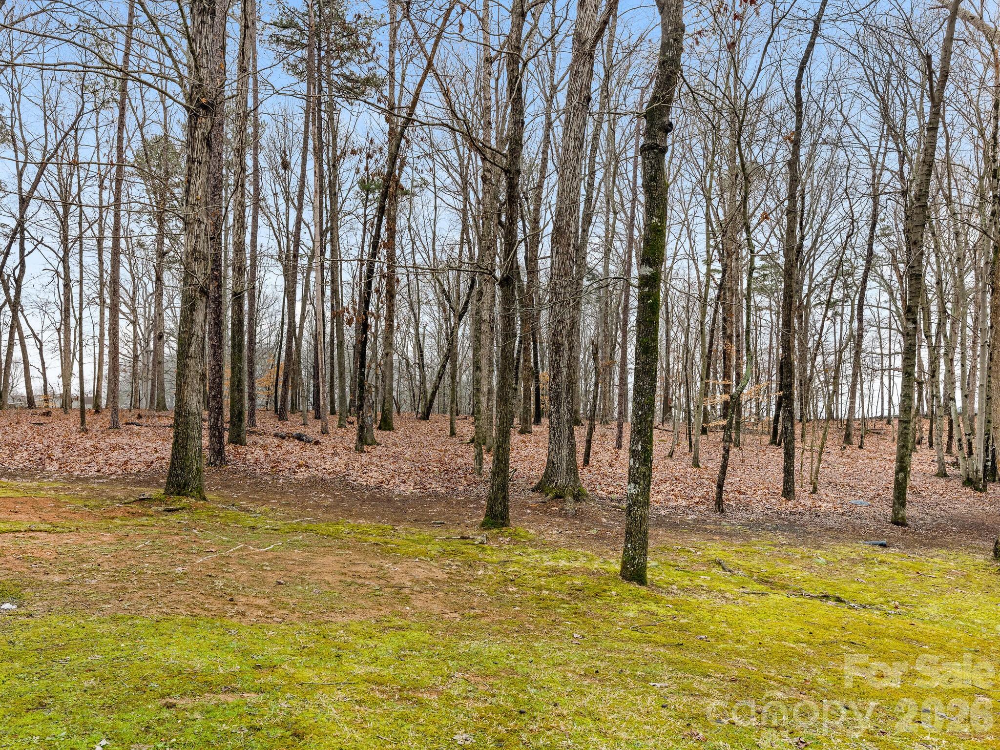 2219 State Rd S-13-106 Pageland, SC 29728 - Photo 22 of 29 a swimming pool with trees in the background