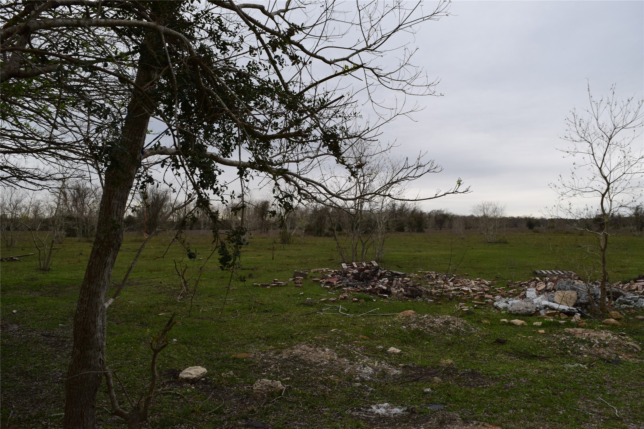 0 Belcher Road Manvel, TX 77578 - Photo 4 of 9