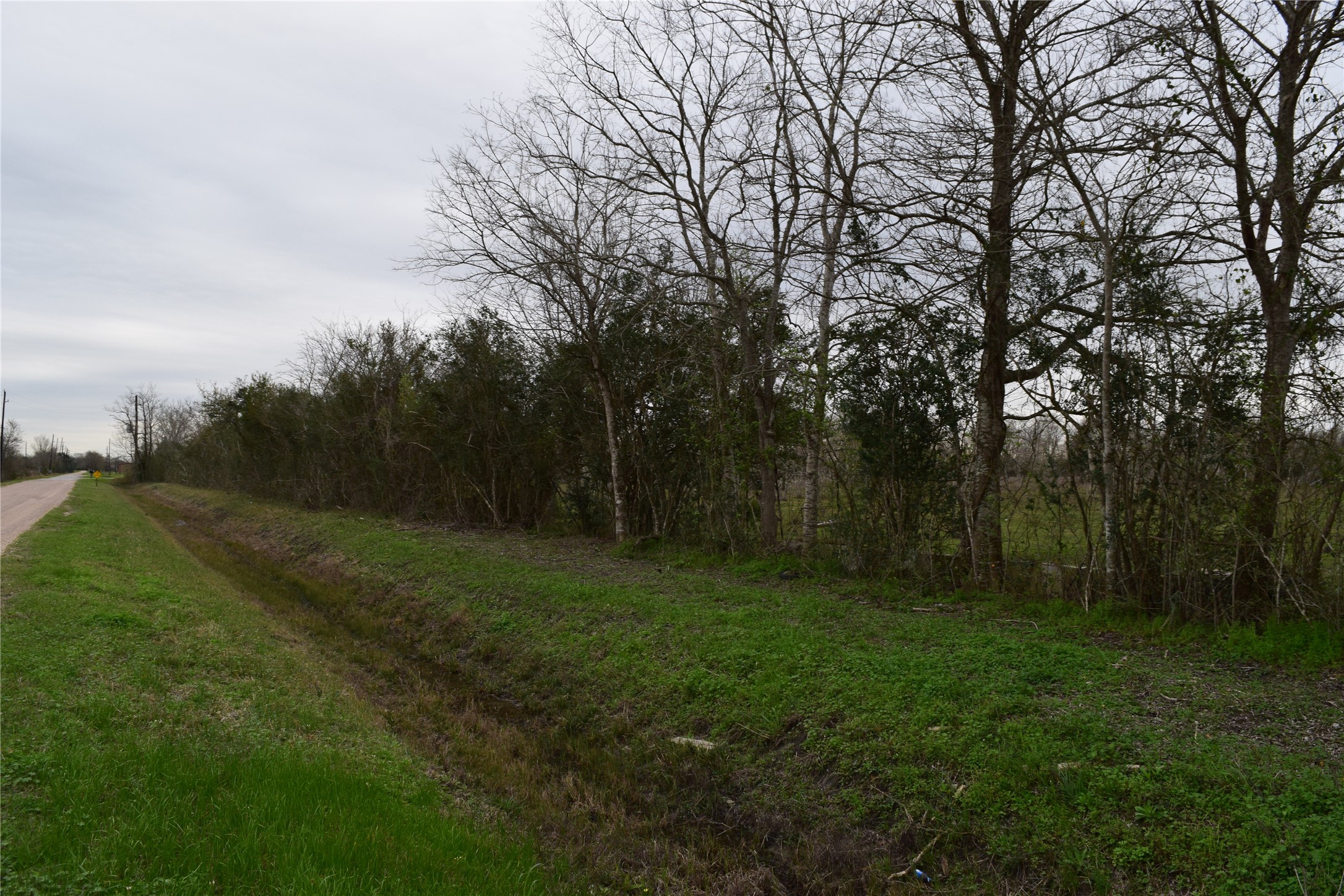 0 Belcher Road Manvel, TX 77578 - Photo 6 of 9