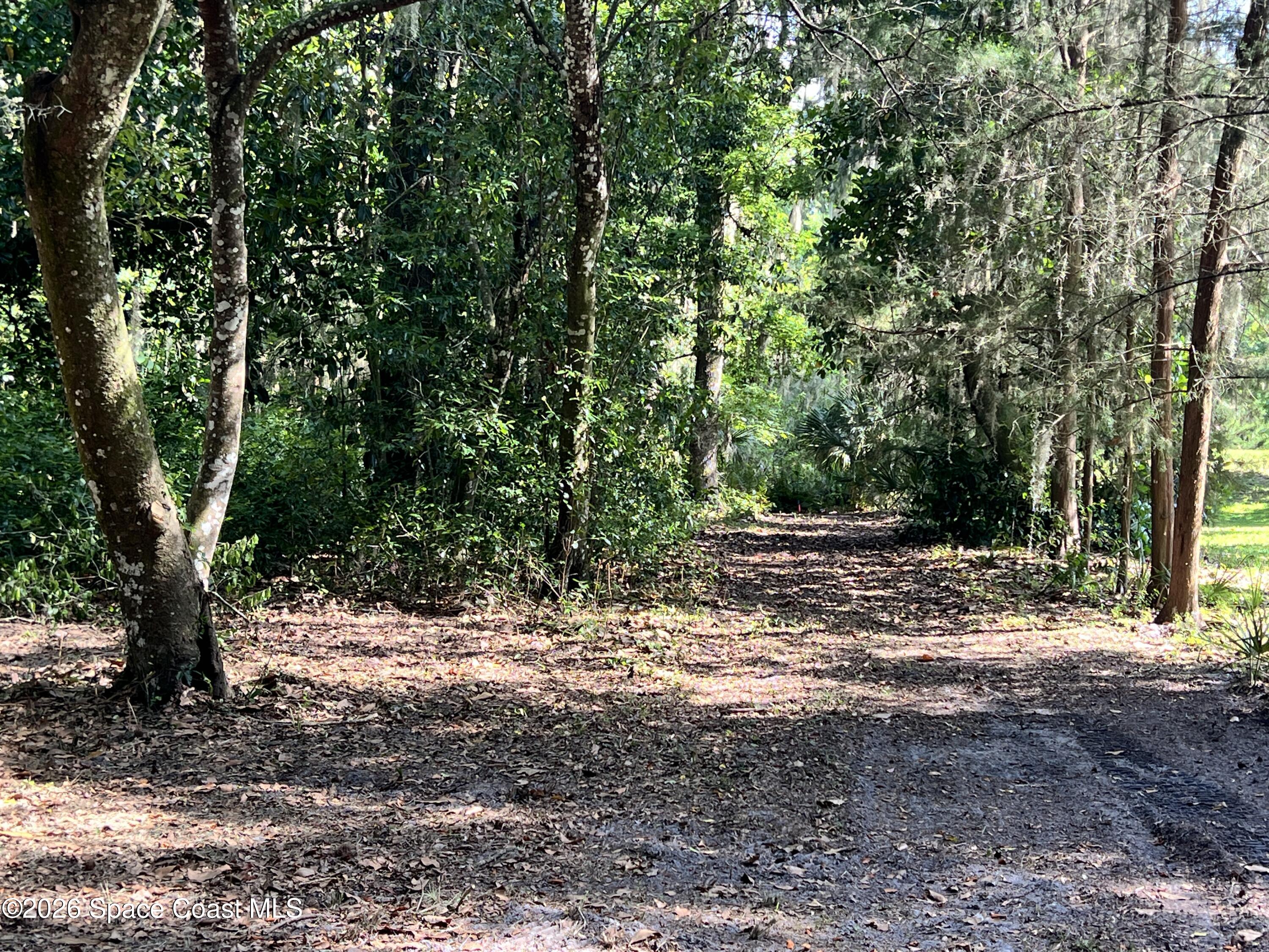 0 Carter Road Mims, FL 32754 - Photo 16 of 25 IMG_5421