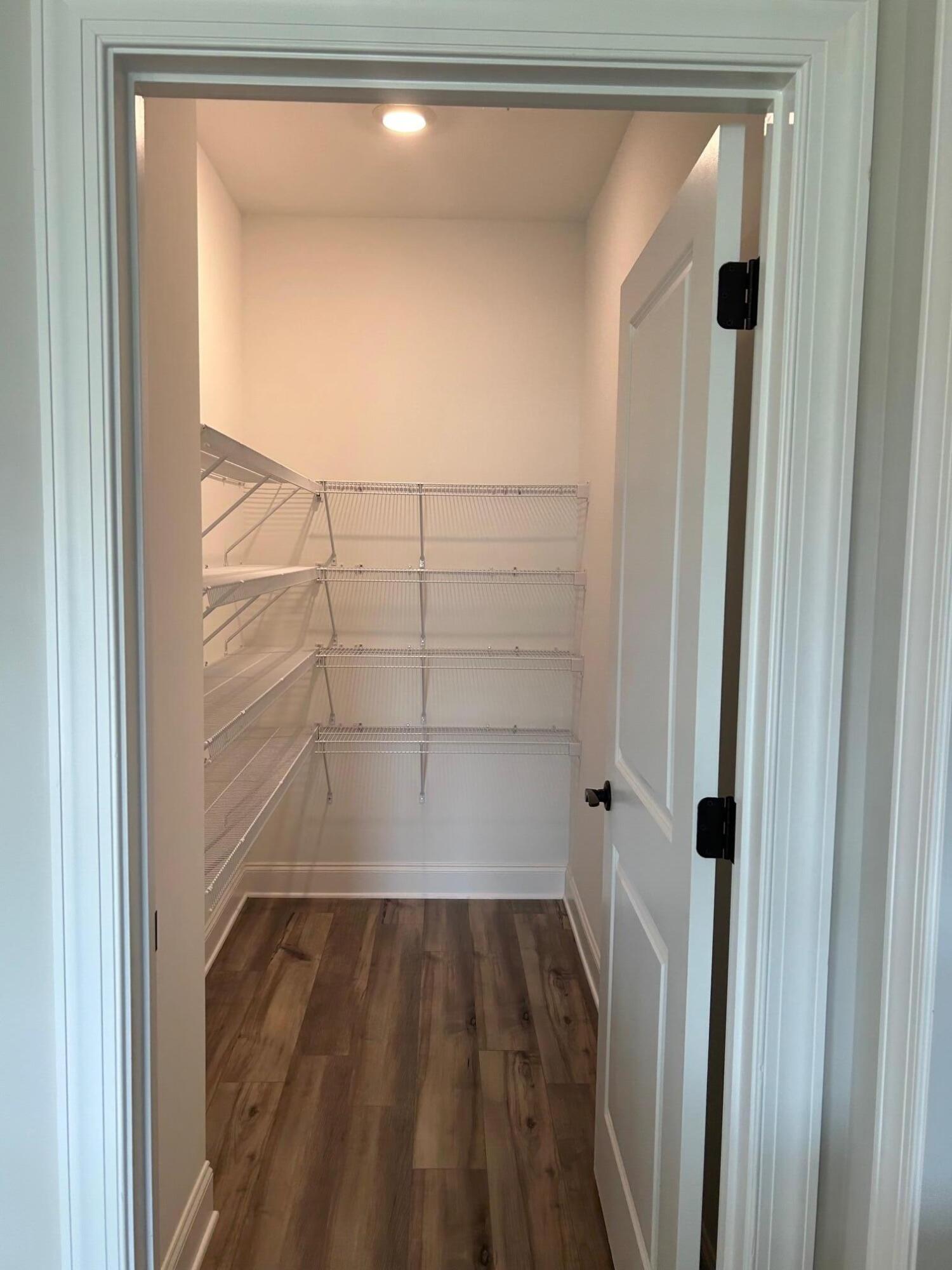 9840 Mayfly Road, Unit 74 Ooltewah, TN 37363 - Photo 11 of 17 walk in pantry