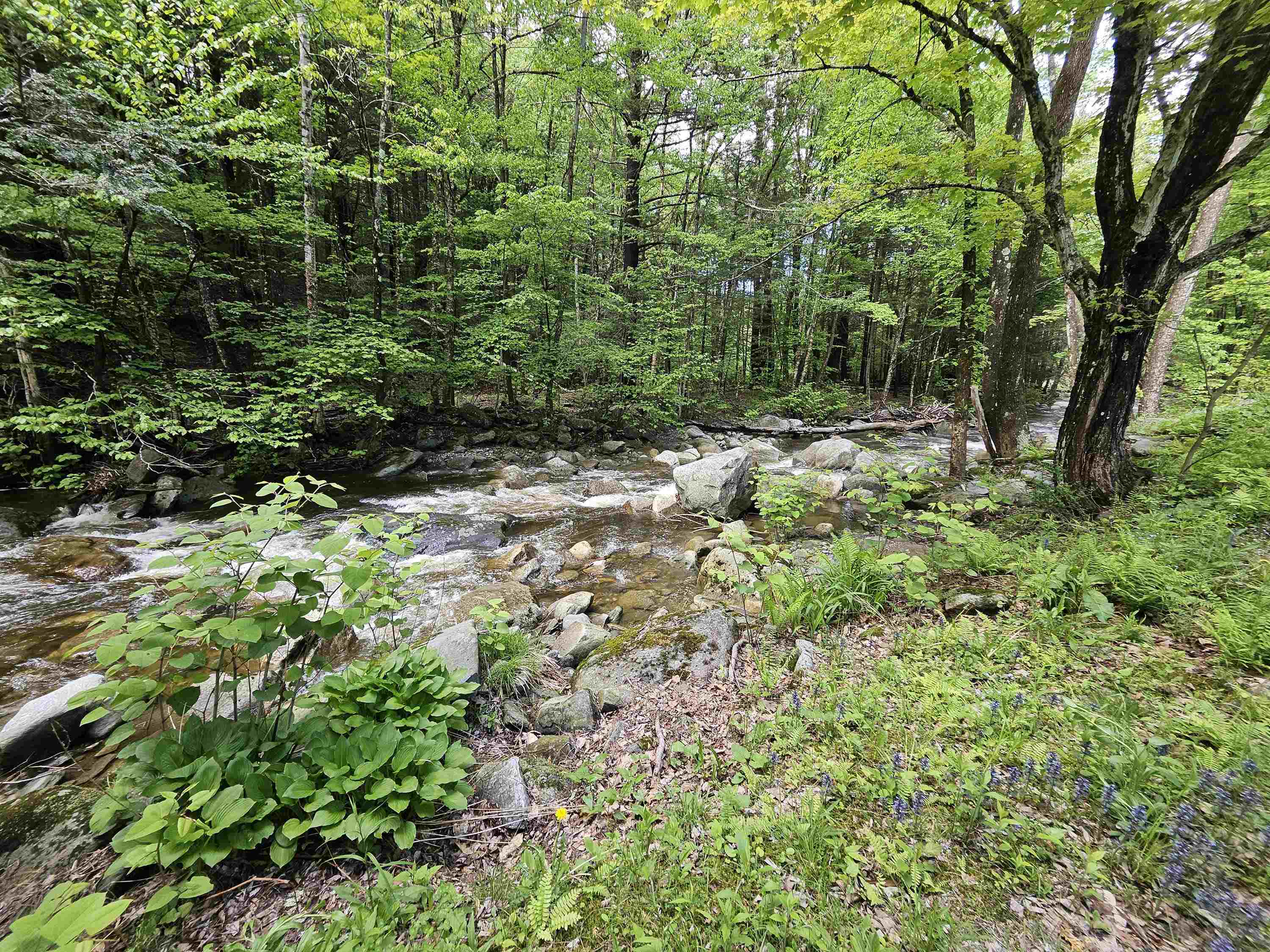 268 South Wardsboro Road Newfane, VT 05345 - Photo 18 of 51