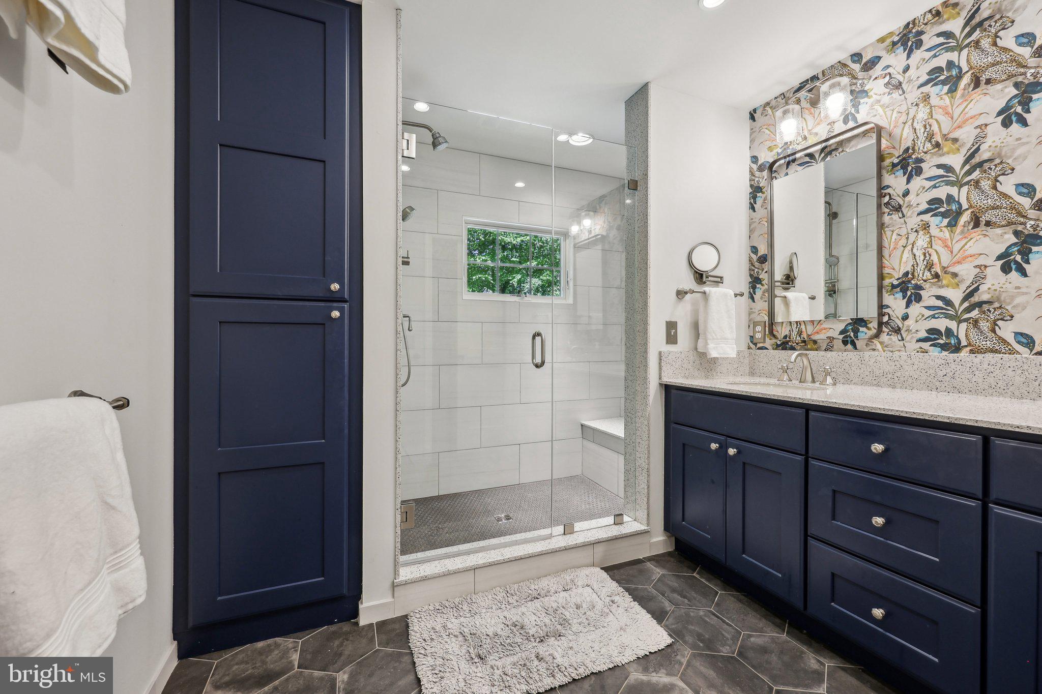 4113 27th Road North Arlington, VA 22207 - Photo 18 of 55 Primary Bath