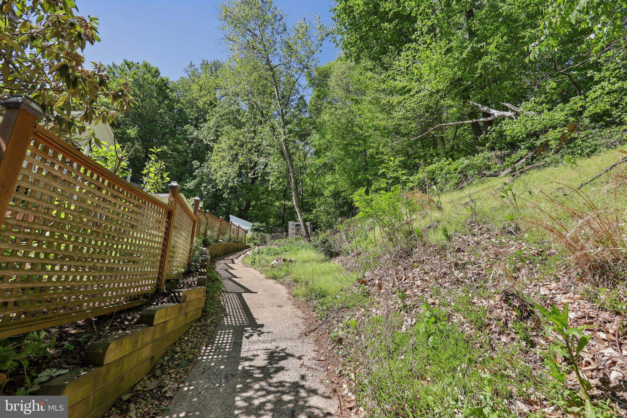 4113 27th Road North Arlington, VA 22207 - Photo 50 of 55 Path behind home