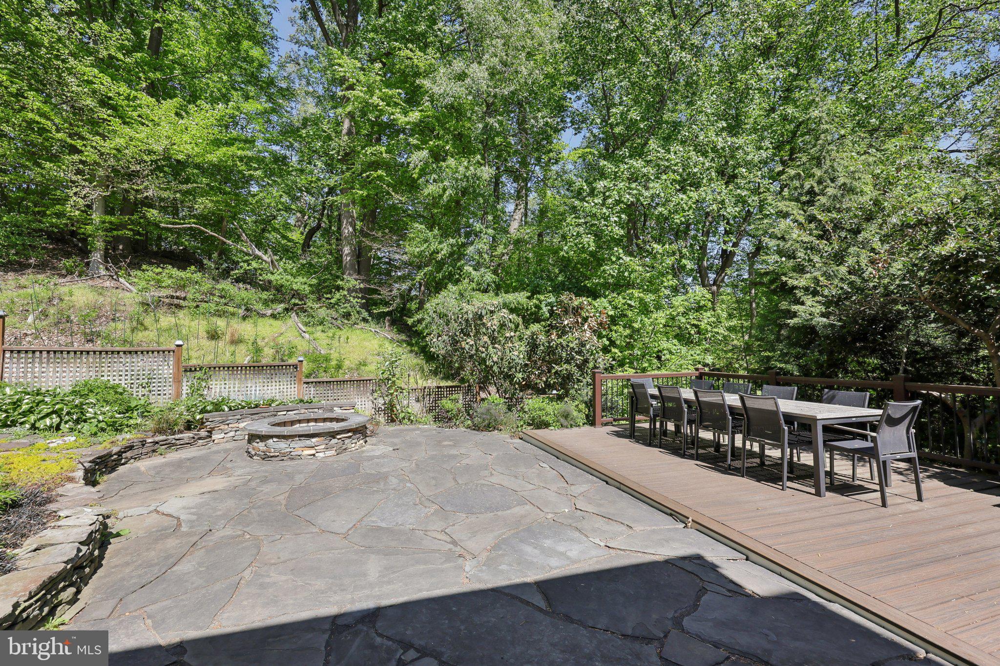 4113 27th Road North Arlington, VA 22207 - Photo 51 of 55 Patio with firepit