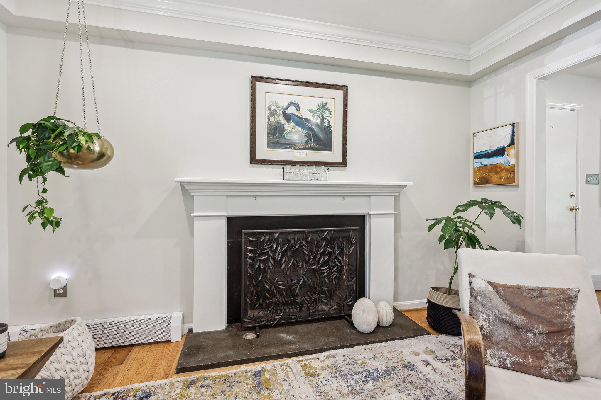 4113 27th Road North Arlington, VA 22207 - Photo 6 of 55 Living Room