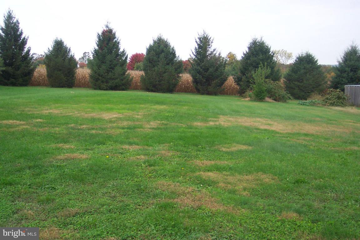 210 Hilldale Road Pequea, PA 17565 - Photo 20 of 40 Gallery Image 20