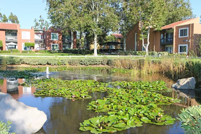 a view of a lake with a building in the background