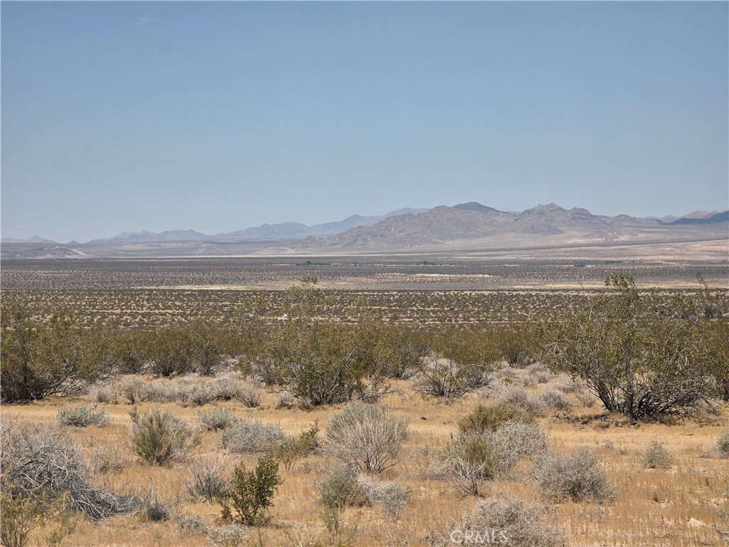 51033 Joshua Tree Road Johnson Valley, CA 92285 - Photo 25 of 30 View