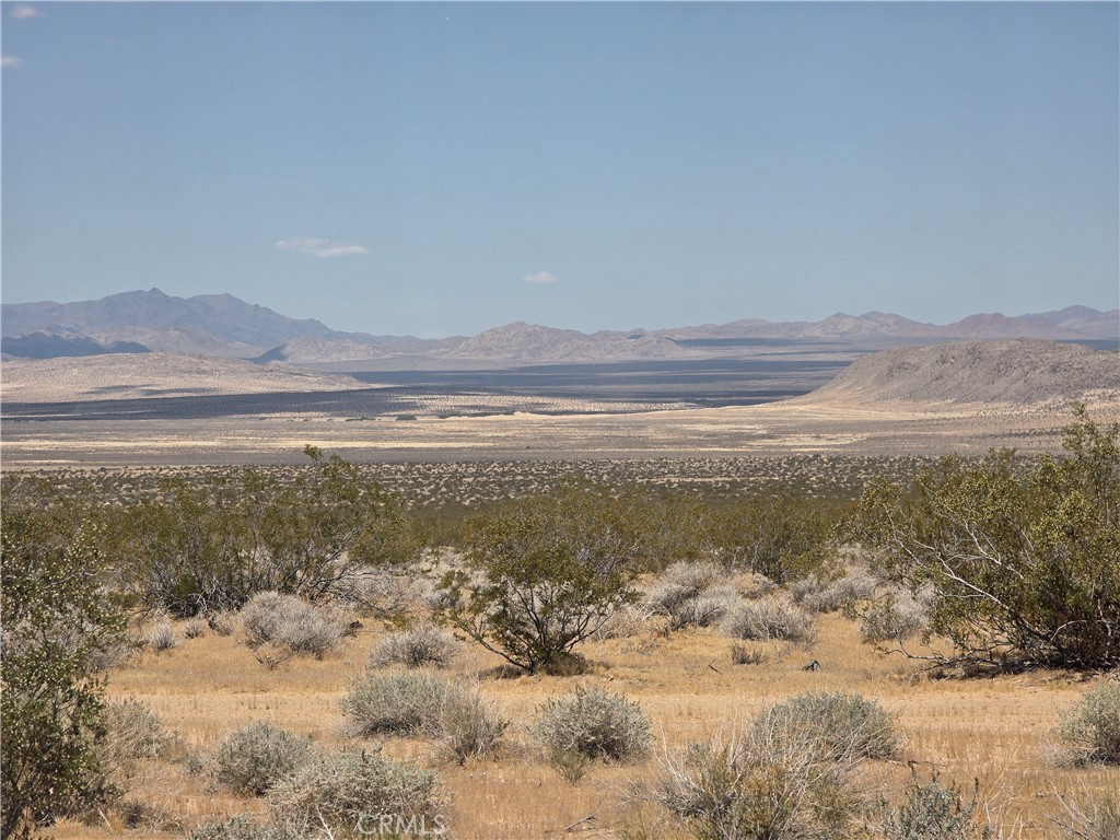 51033 Joshua Tree Road Johnson Valley, CA 92285 - Photo 28 of 30 View