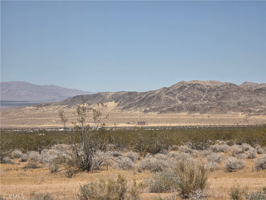 51033 Joshua Tree Road Johnson Valley, CA 92285 - Photo 29 of 30 View