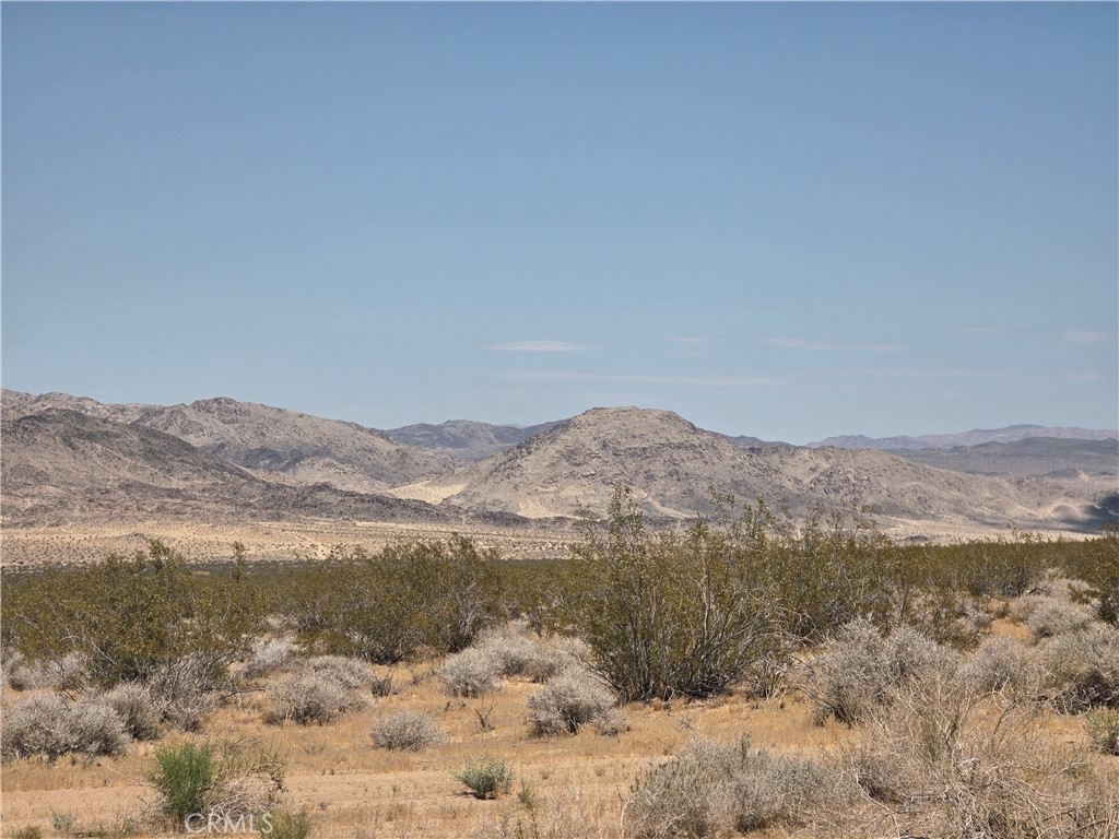 51033 Joshua Tree Road Johnson Valley, CA 92285 - Photo 30 of 30 View