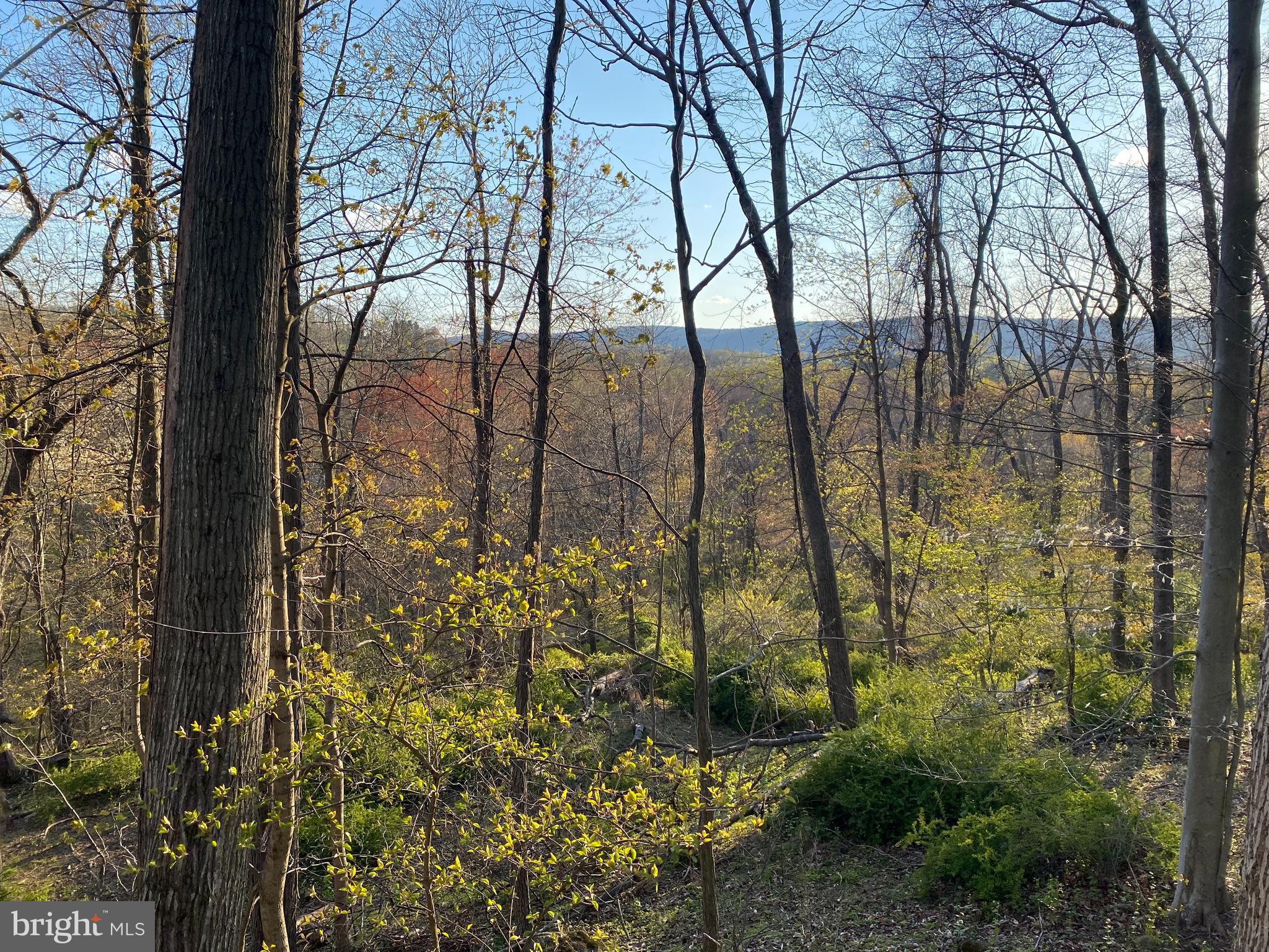 12509 Stottlemyer Road Myersville, MD 21773 - Photo 10 of 14 a view of lake with large trees