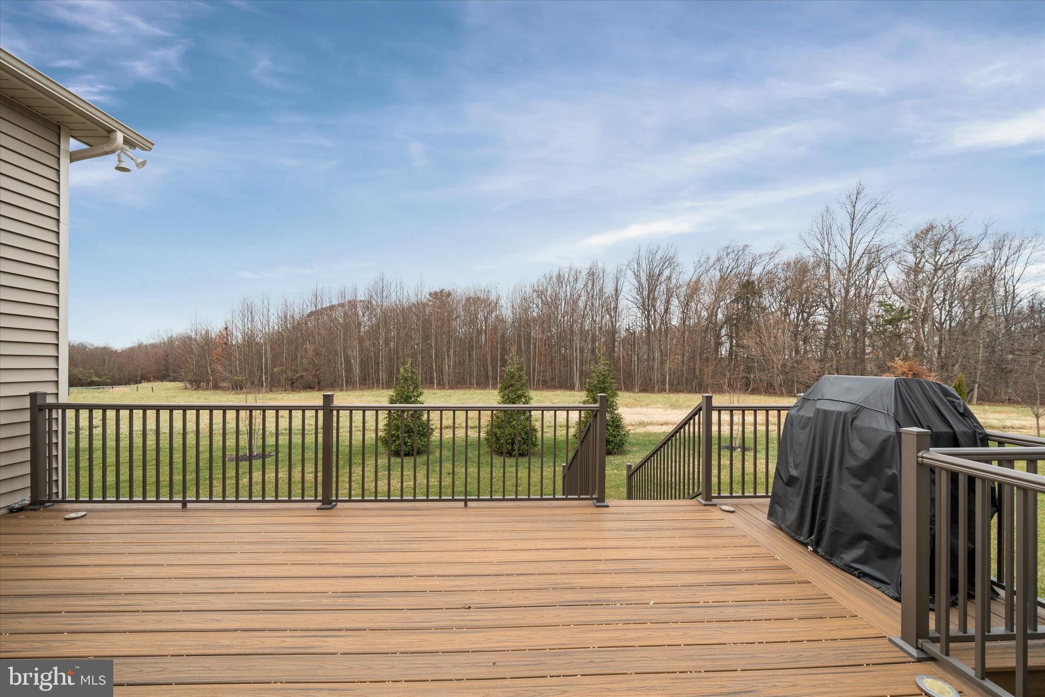 5338 Newman Lane Middletown, DE 19709 - Photo 47 of 61