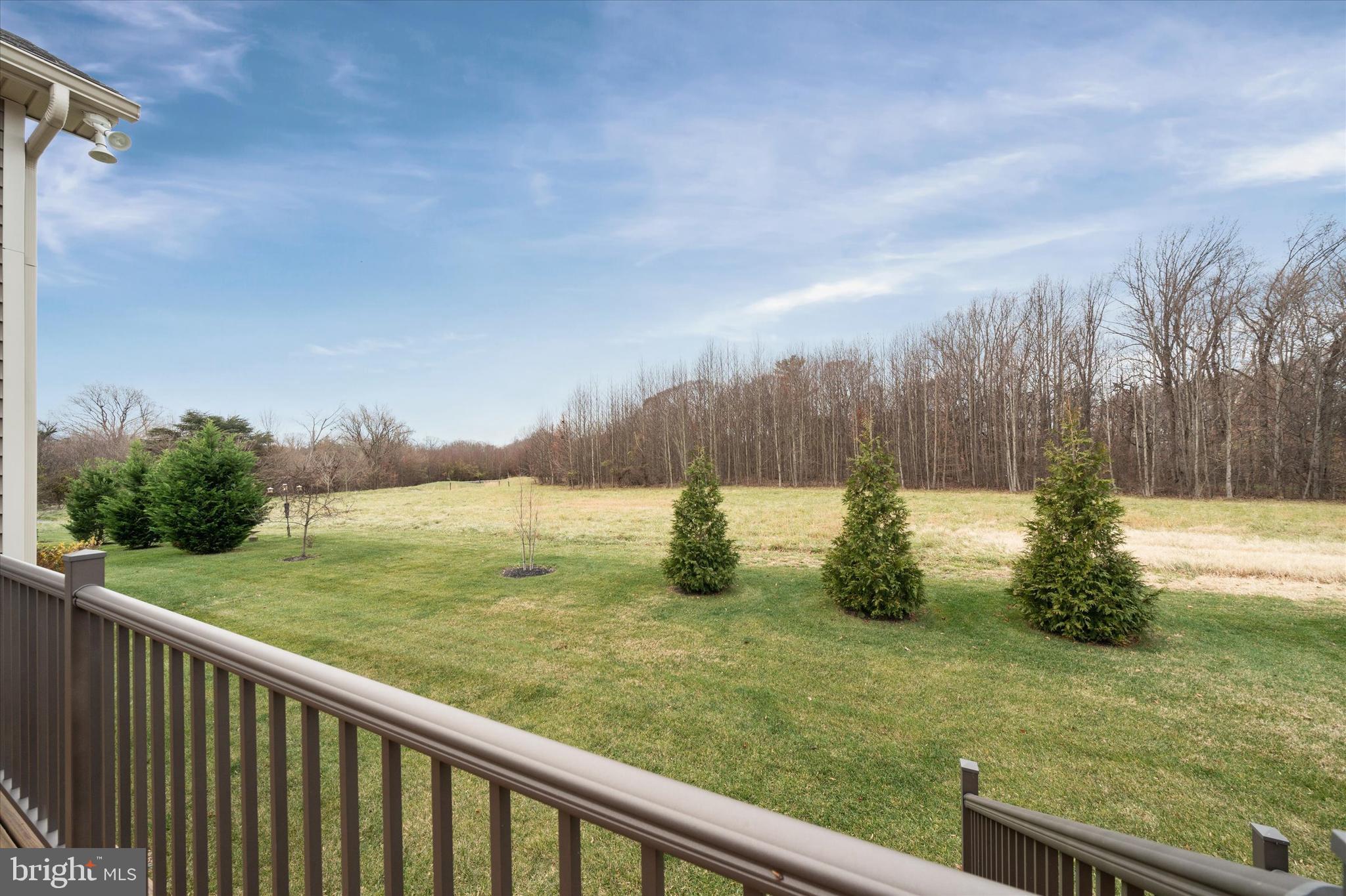 5338 Newman Lane Middletown, DE 19709 - Photo 50 of 61 a view of a balcony with trees