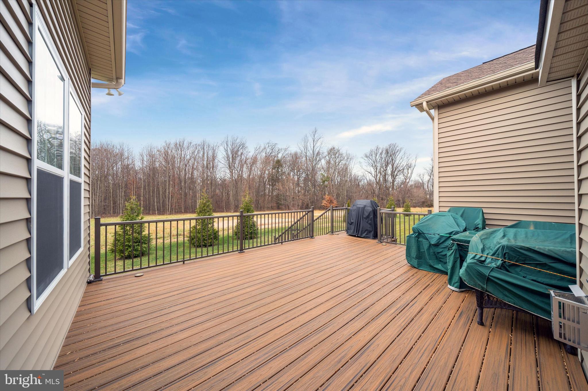 5338 Newman Lane Middletown, DE 19709 - Photo 54 of 61 a view of balcony with deck and wooden floor