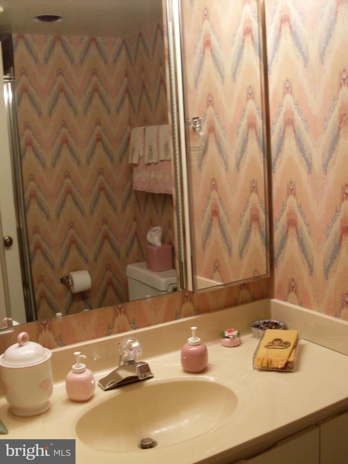 15100 Interlachen Drive, Unit 122 Silver Spring, MD 20906 - Photo 11 of 18 Bath