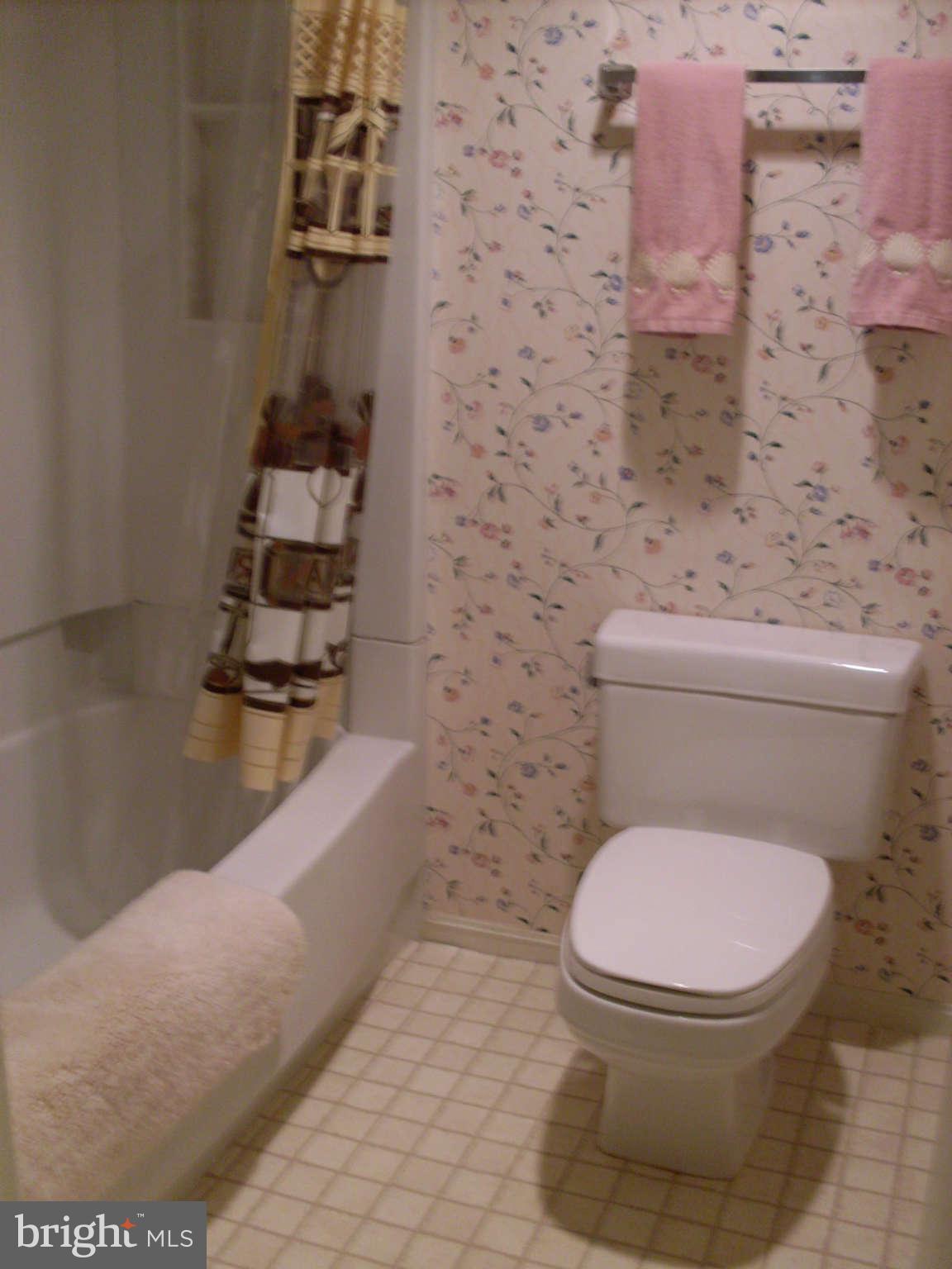 15100 Interlachen Drive, Unit 122 Silver Spring, MD 20906 - Photo 14 of 18 Bath Master