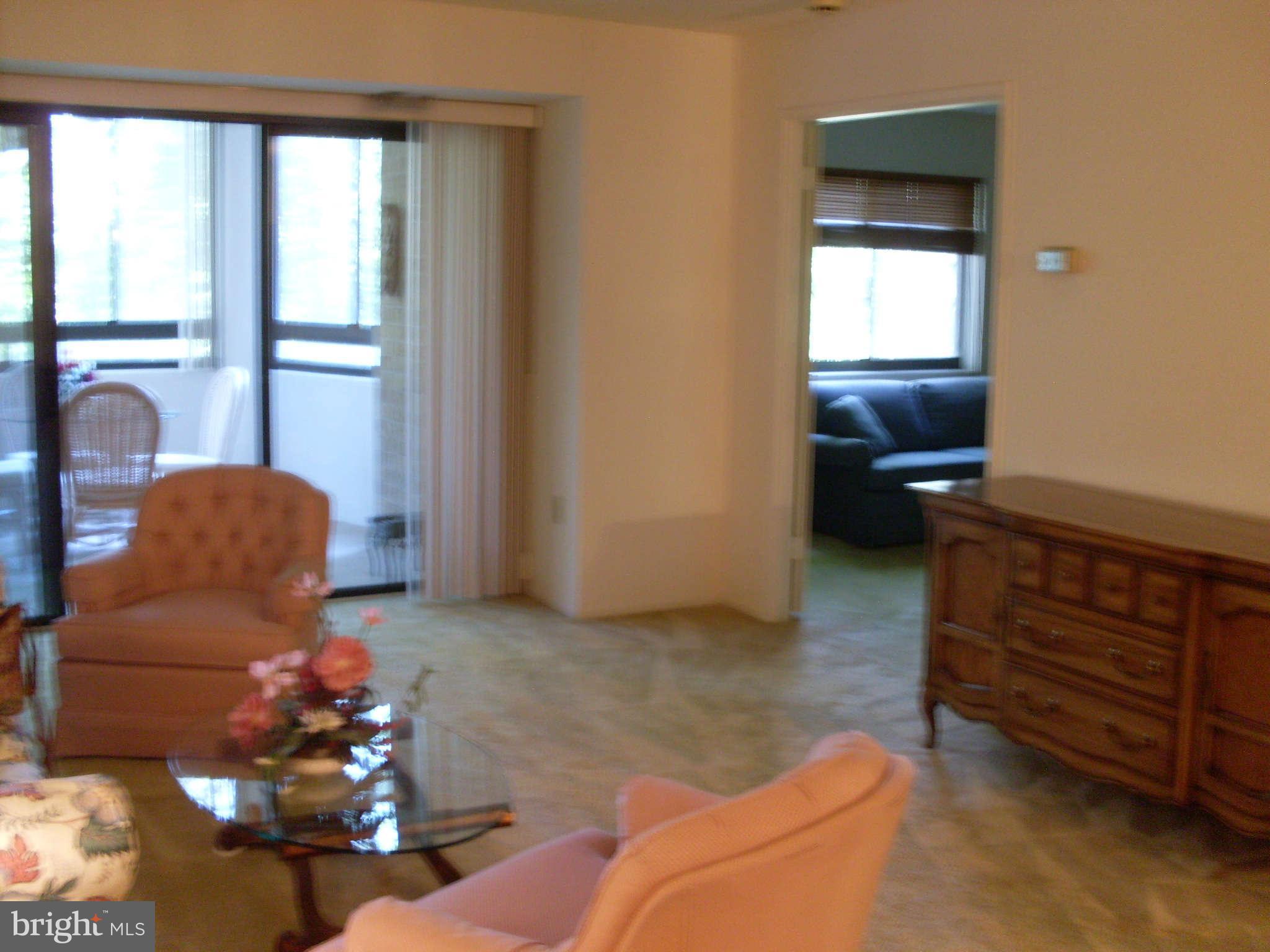 15100 Interlachen Drive, Unit 122 Silver Spring, MD 20906 - Photo 2 of 18 Living Room